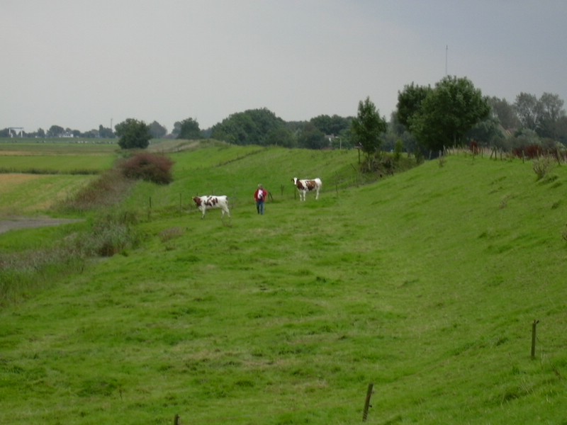 Lauwersoog (086).JPG