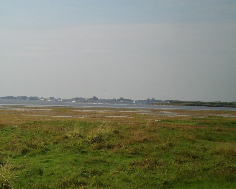 Lauwersoog (119).jpg