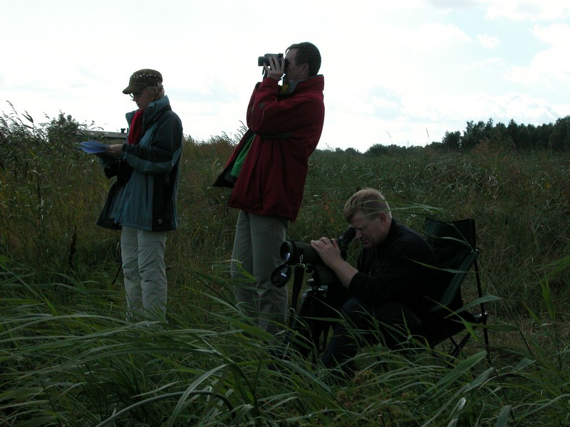 Falsterbo 2007 (087).JPG