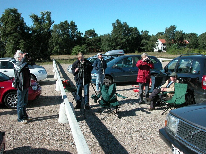 Falsterbo 2007 (113).JPG