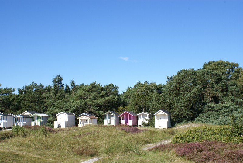 Falsterbo 2007 (115).JPG