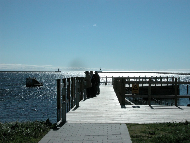 Falsterbo 2007 (119).JPG