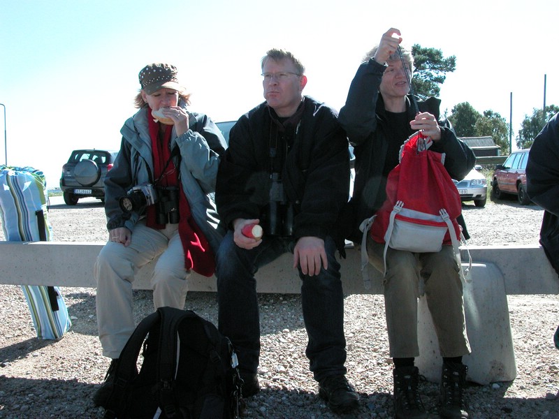 Falsterbo 2007 (151).JPG