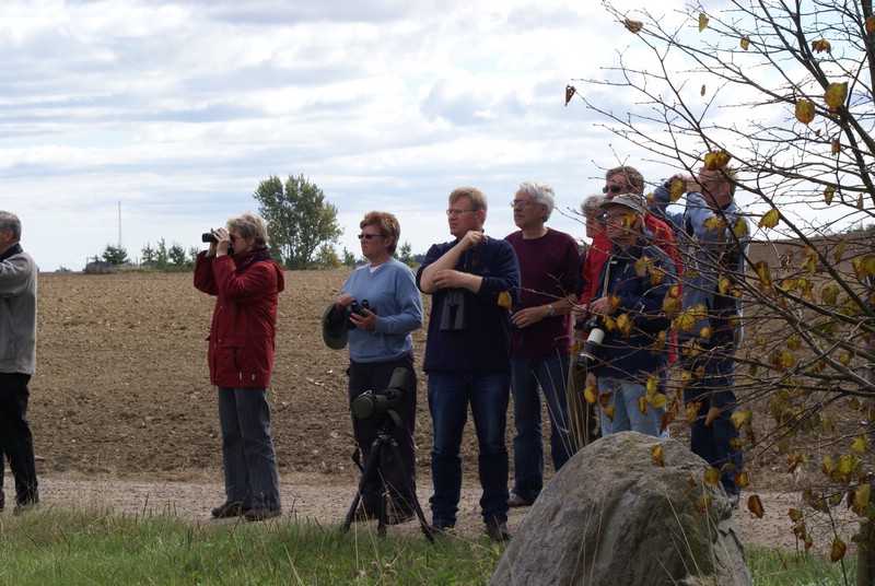 Falsterbo 2007 (158).JPG