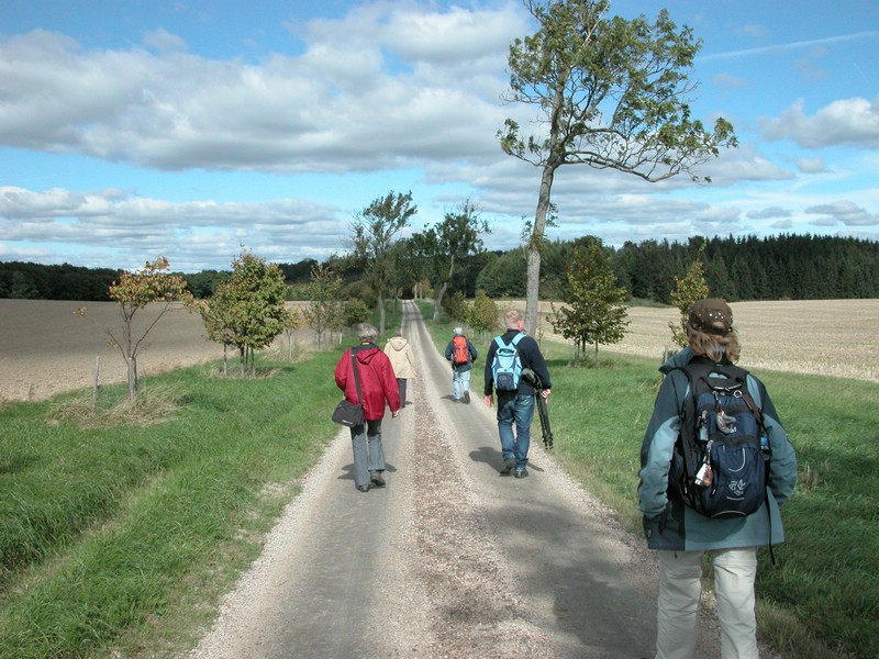 Falsterbo 2007 (159).JPG