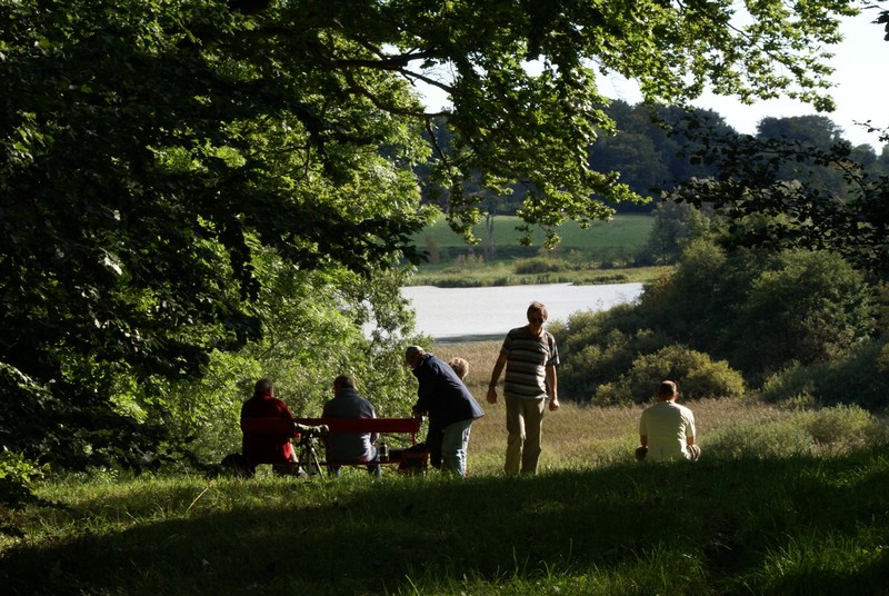 Falsterbo 2007 (182).JPG