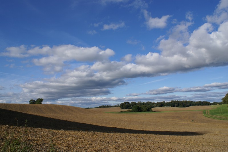 Falsterbo 2007 (186).JPG