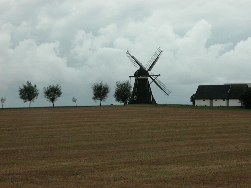 Falsterbo 2007 (192).JPG