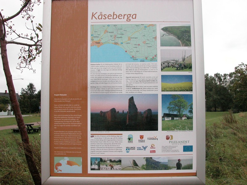 Falsterbo 2007 (228).JPG