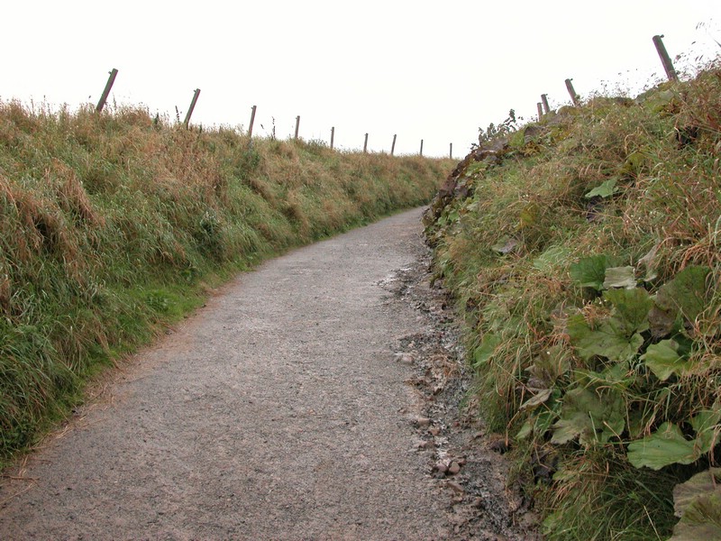 Falsterbo 2007 (236).JPG