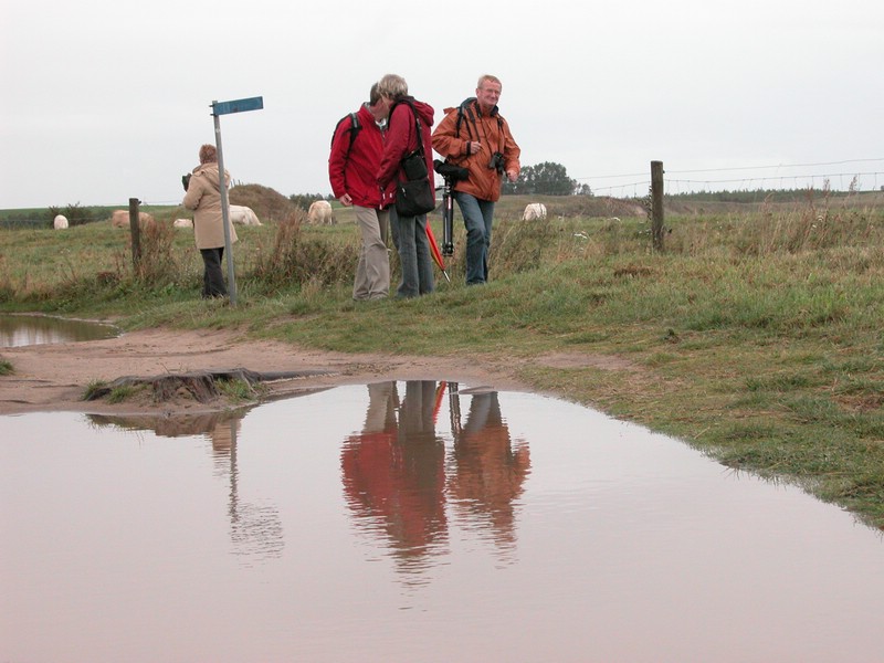 Falsterbo 2007 (242).JPG