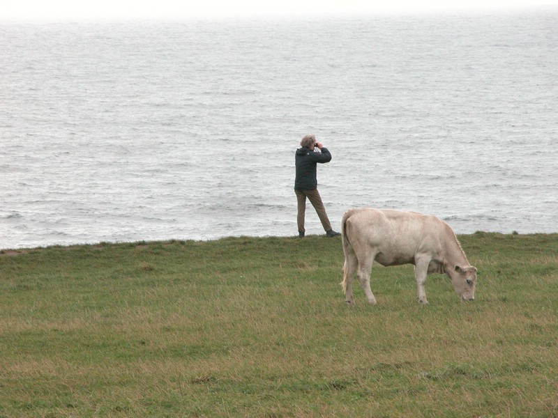 Falsterbo 2007 (253).JPG