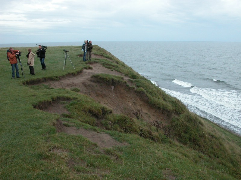 Falsterbo 2007 (257).JPG