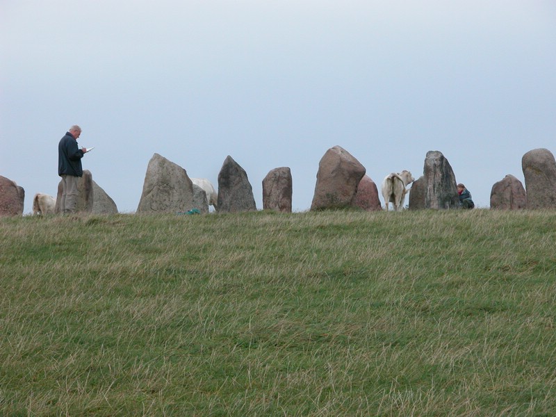 Falsterbo 2007 (259).JPG