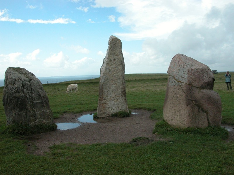 Falsterbo 2007 (265).JPG