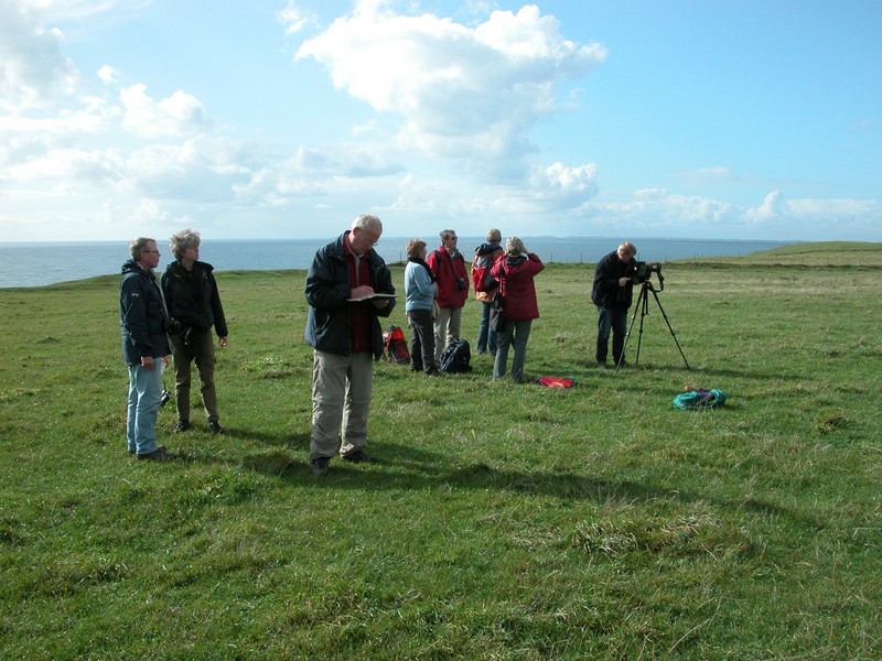 Falsterbo 2007 (275).JPG