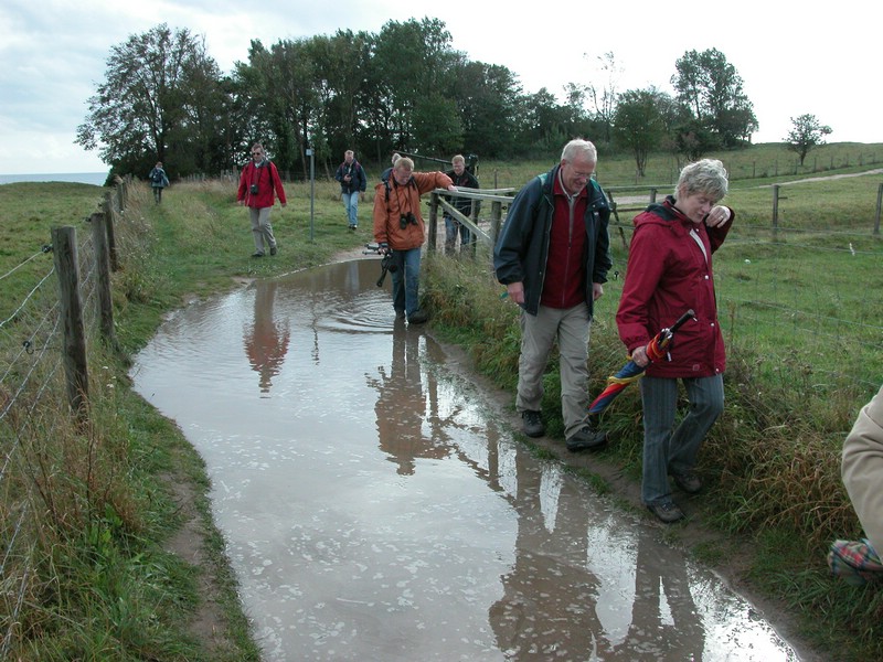 Falsterbo 2007 (283).JPG