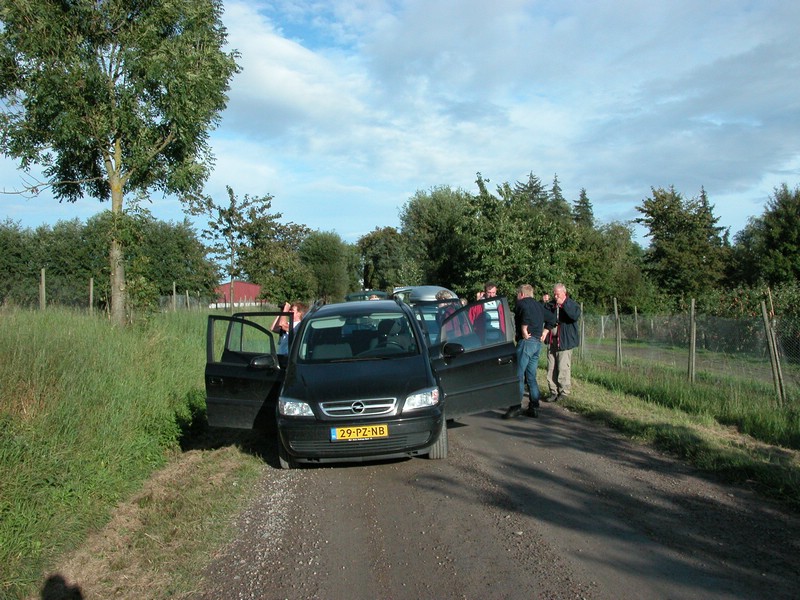 Falsterbo 2007 (306).JPG