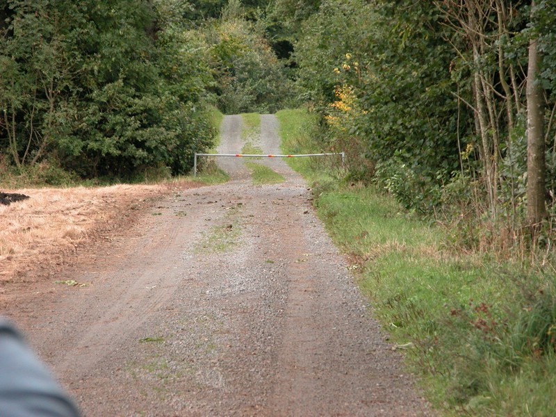 Falsterbo 2007 (325).JPG