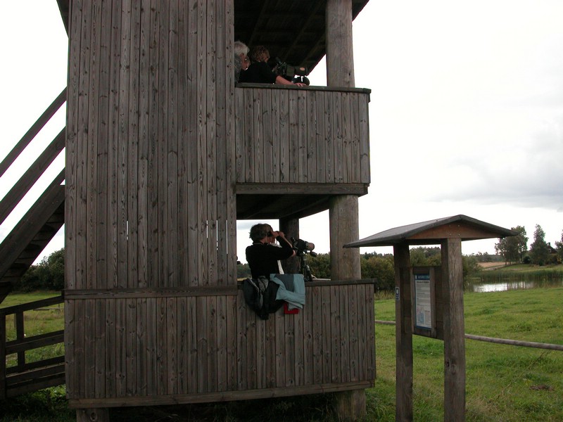 Falsterbo 2007 (349).JPG