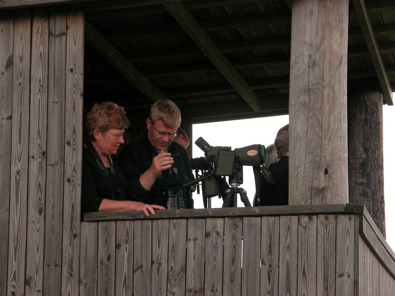 Falsterbo 2007 (351).JPG