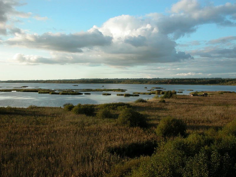 Falsterbo 2007 (383).JPG