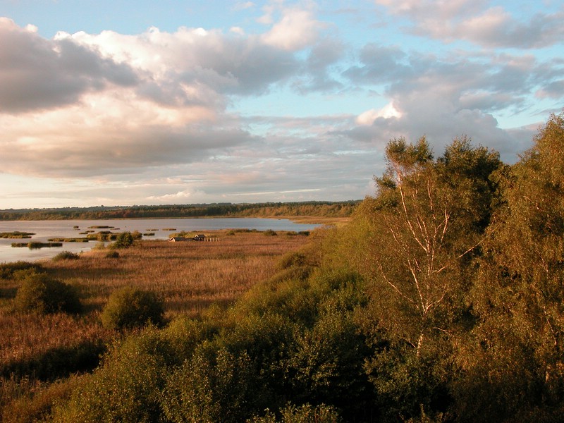 Falsterbo 2007 (384).JPG