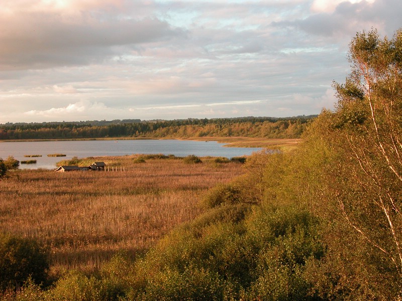 Falsterbo 2007 (385).JPG