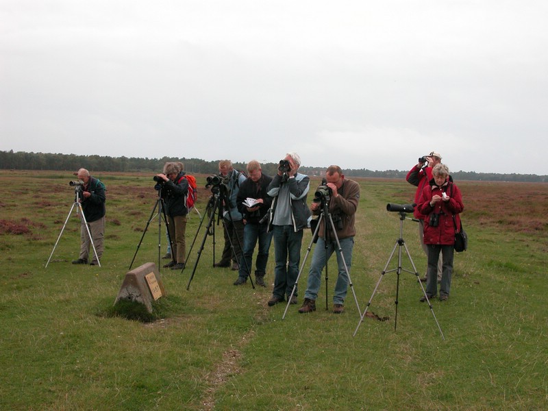 Falsterbo 2007 (404).JPG