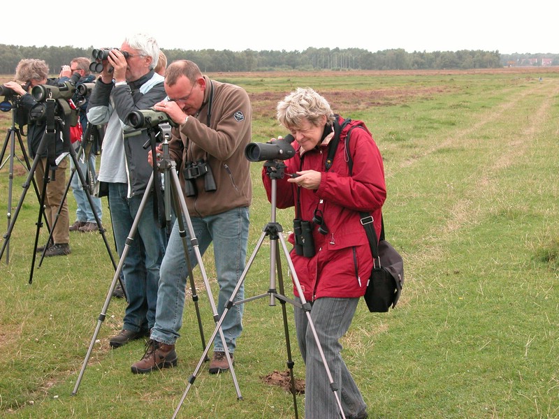 Falsterbo 2007 (405).JPG