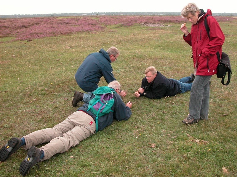 Falsterbo 2007 (409).JPG