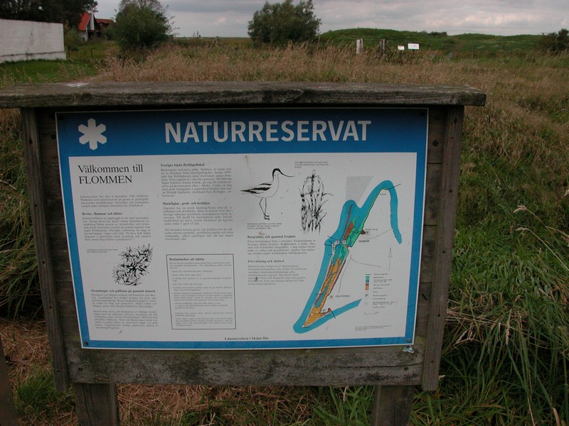 Falsterbo 2007 (427).JPG