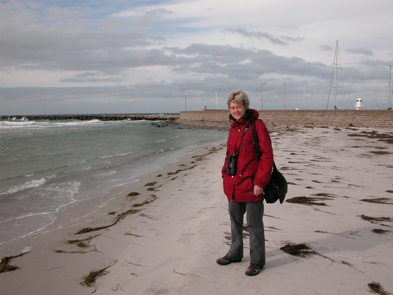 Falsterbo 2007 (438).JPG