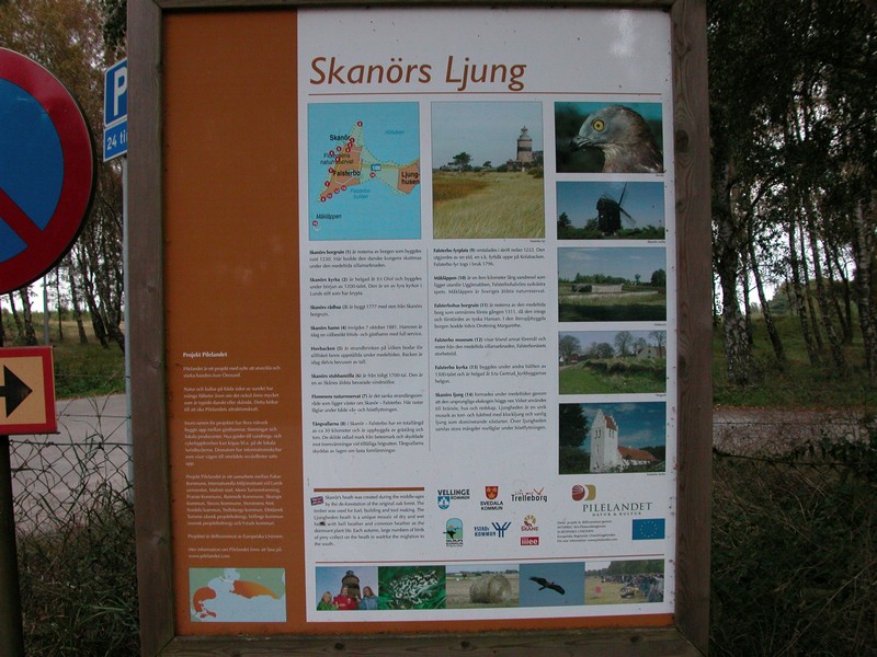 Falsterbo 2007 (445).JPG