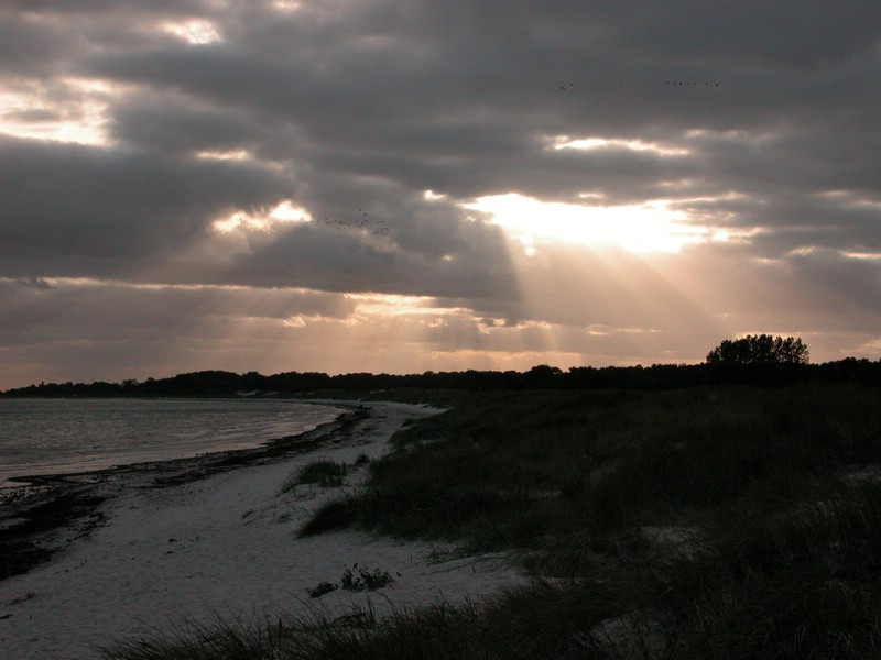 Falsterbo 2007 (455).JPG