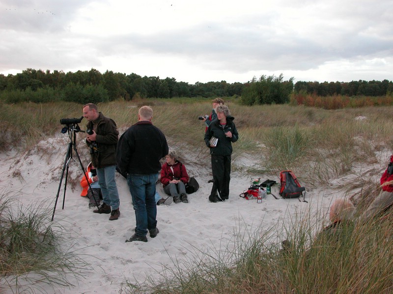 Falsterbo 2007 (460).JPG