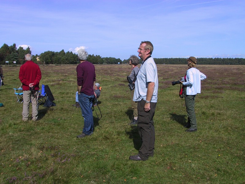 Falsterbo 2007 (534).JPG