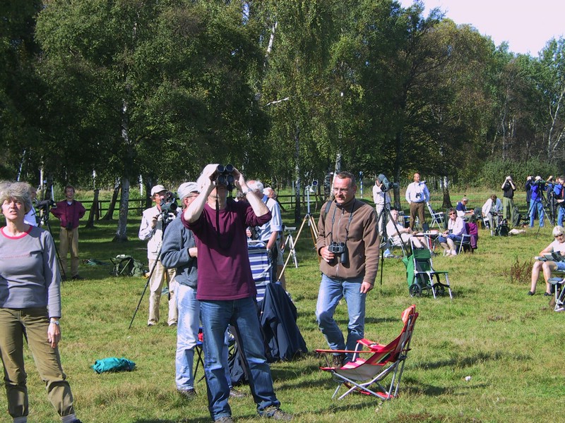 Falsterbo 2007 (536).JPG