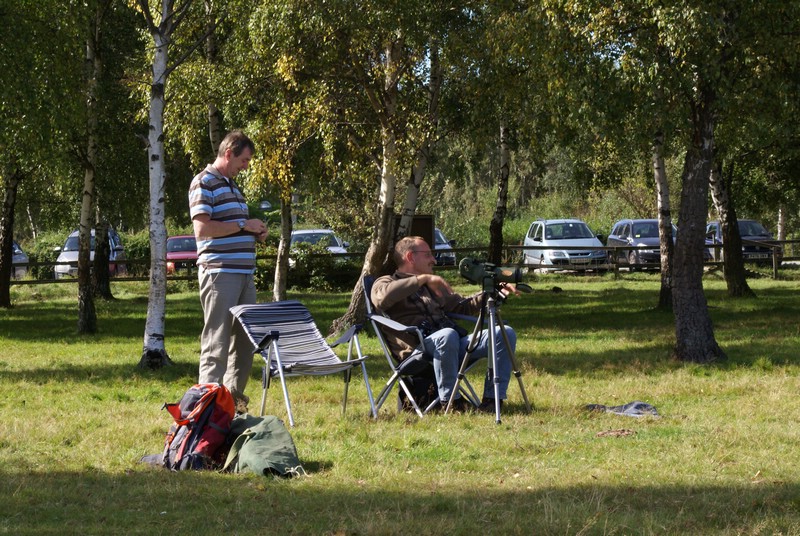 Falsterbo 2007 (537).JPG