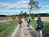 Falsterbo 2007 (159).JPG