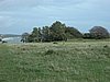 Falsterbo 2007 (280).JPG