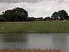 Falsterbo 2007 (356).JPG