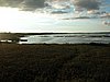 Falsterbo 2007 (382).JPG