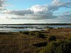 Falsterbo 2007 (383).JPG