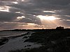 Falsterbo 2007 (455).JPG