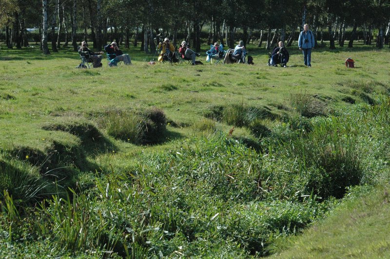 Zweden Falsterbo 2007 012.jpg