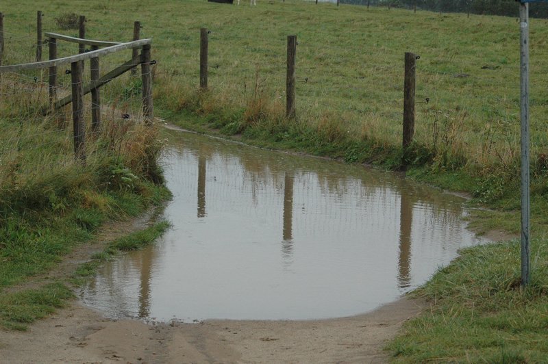 Zweden Falsterbo 2007 141.jpg