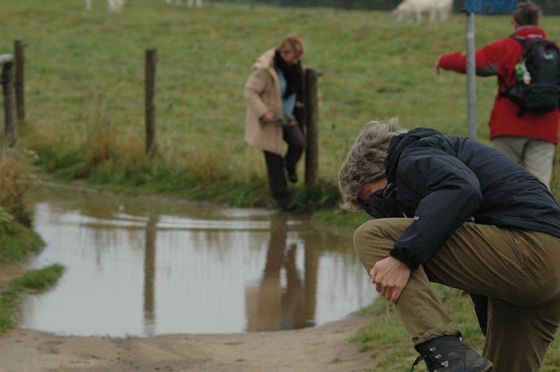 Zweden Falsterbo 2007 150.jpg