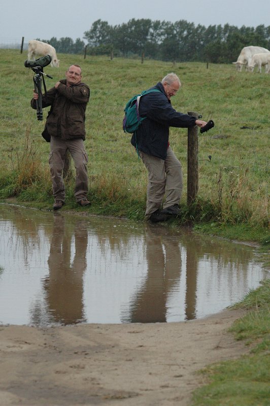 Zweden Falsterbo 2007 152.jpg