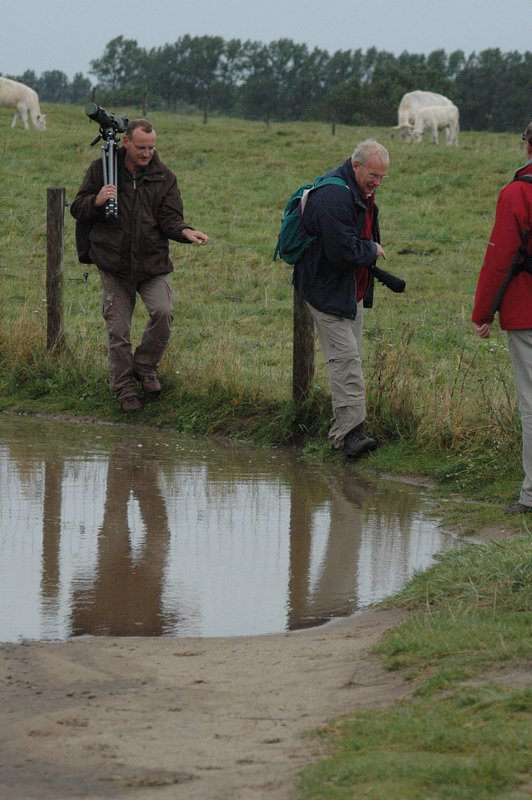 Zweden Falsterbo 2007 154.jpg